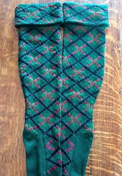 1870's Pattern Hose From the wonderful Macleay Portraits. Green interpretation of the Duncan Gordon Portrait